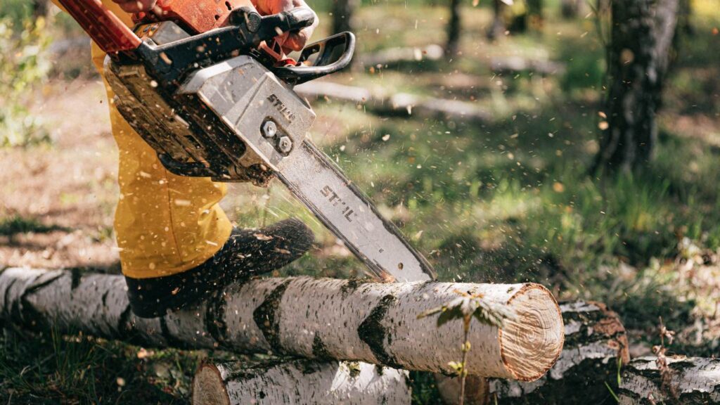 Copy of Copy of Special 1 1024x576 1