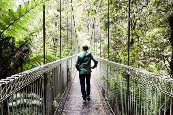 Corrigan Bridge Man on bridge d0fac39c089a8a5df7376751f4812439 1024x597 1